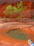 negro bill canyon